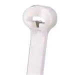 BT1M-M