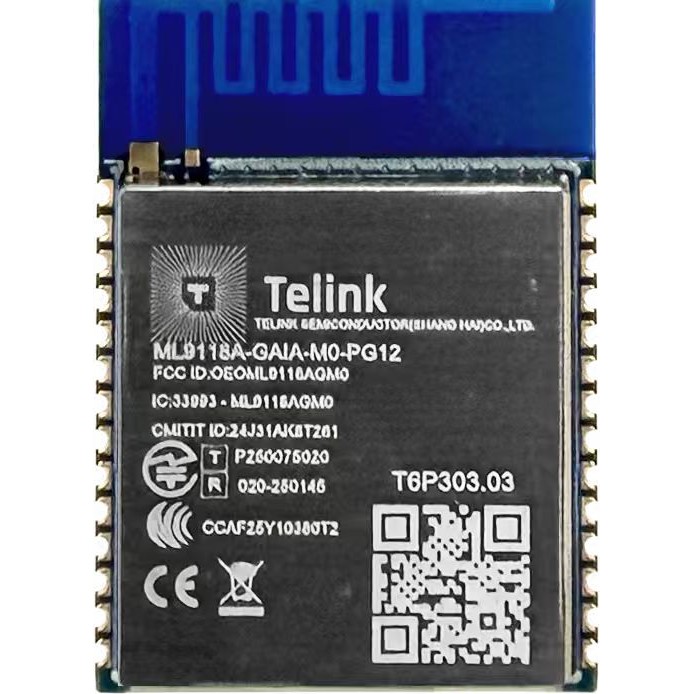 ML9118A-GAIA-M0-PG12