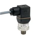 PT20-300psig-1-2-2-25