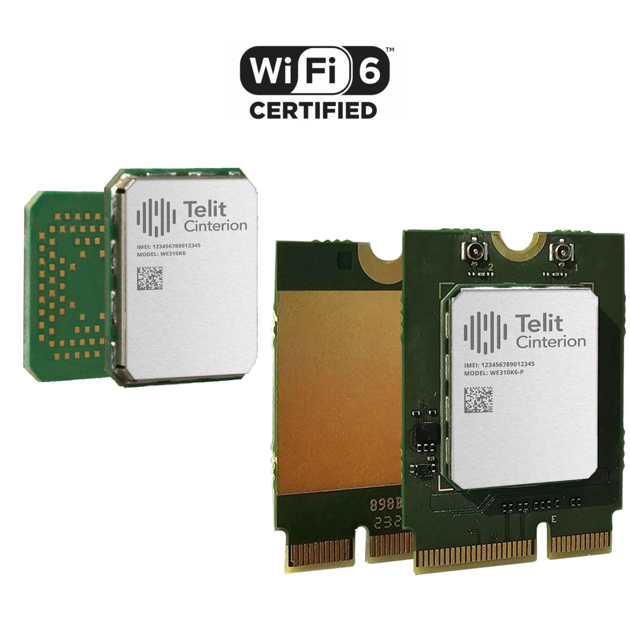 WM310K6P000T001000