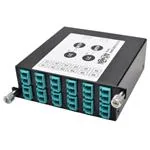 N484-2M12-LC12