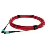 C-MPOMPO-2M5OM4P-RD